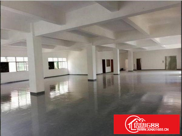 出租坪山坪山围原房东带装修厂房二楼500平，有电梯