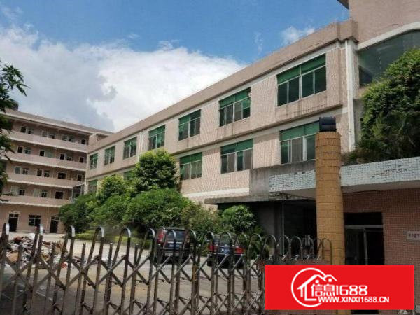 博美分租一楼800平方原房东，可办环评