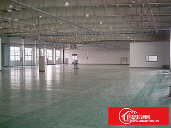 万江周边1出租5001500、2000平方出租