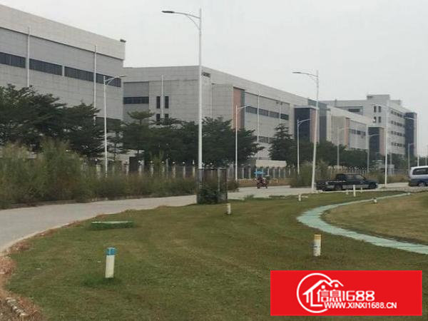 大岭山高新园区精装修厂房可分租270000平米