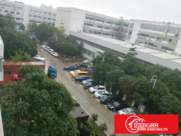 惠阳秋长白石新出标准一楼600平米平价出租