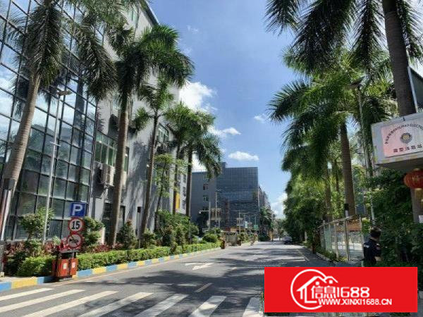 龙岗南联地铁口物业直招200平精装办公室5800元