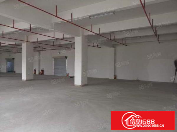 清溪靠近凤岗原房东一楼900平厂房出租带装修水电