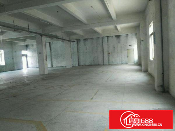 龙岗坪地新出二楼550平方面积实在无公摊的厂房出租