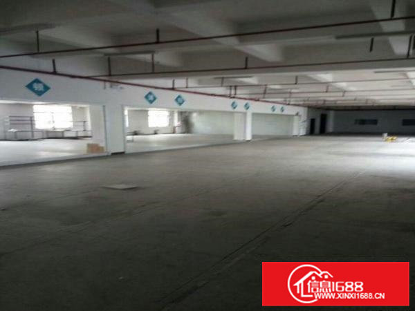 高埗新出标准楼房1500平米二楼厂房出租带消防喷淋