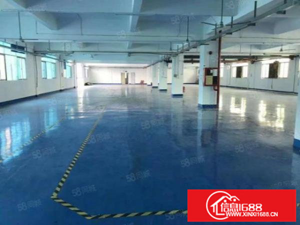 松岗原房东厂房600，800，500，平方出租大小分租