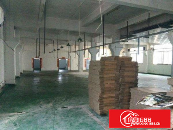 出租仲恺潼湖一楼950平米带牛角超靓厂房