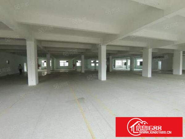 观澜桂花主干道边原房东楼上1000平米带豪华装修厂房仓库出租