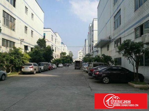 横岗山子下路一楼550平方标准厂房可进大车有空地