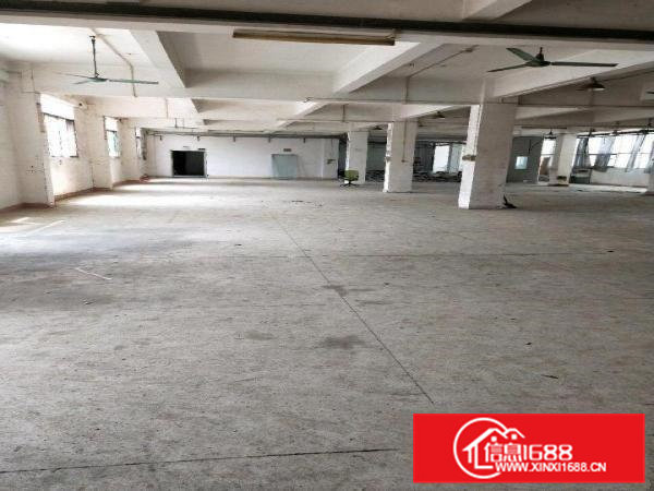 凤岗天堂围二楼800平方标准厂房分租