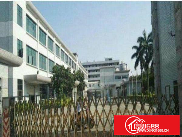 横岗嘉华路新出800平方带办公室一楼厂房招租