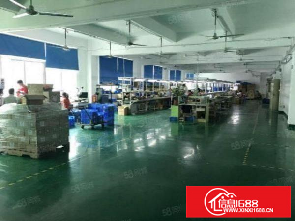 带装修，容桂500方标准水泥结构厂房，进车方便