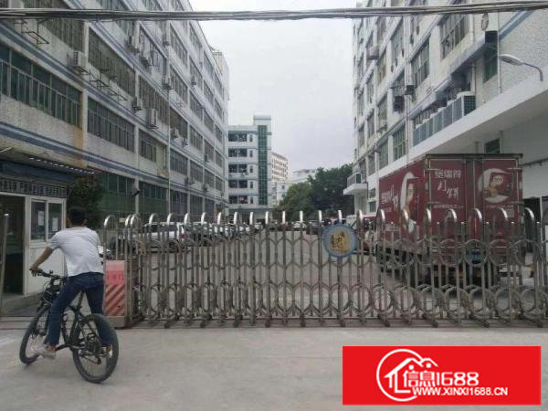 横岗228工业区一楼800平方，楼上1300平可分