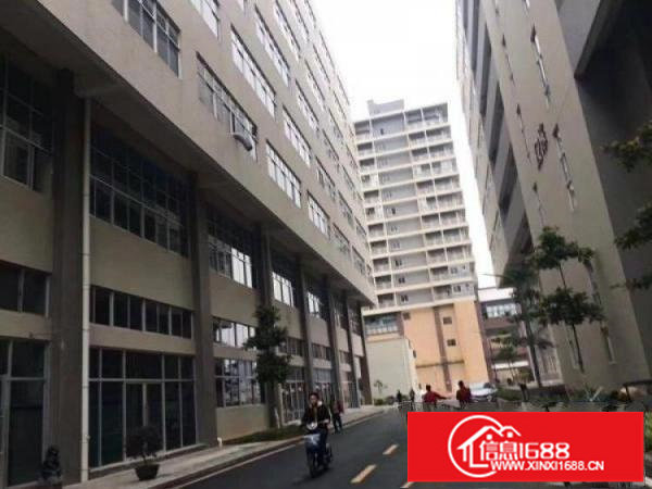 西丽留仙洞独门，独院，独栋工业厂房《火热招租》