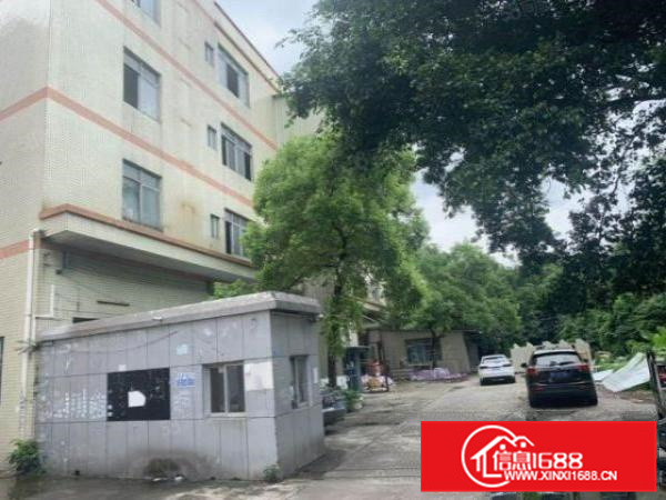 顺德12元标准厂房一楼900平，原房东主干道旁进大车方便