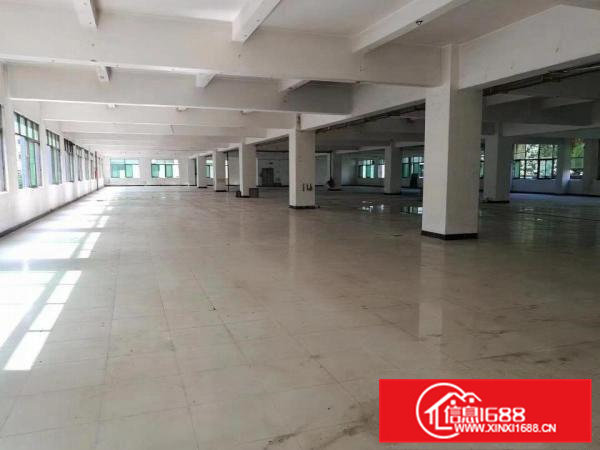 急，急，急，给钱就放租