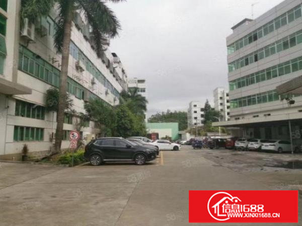 荷坳地铁口2450平方整层厂房出租，可以分租