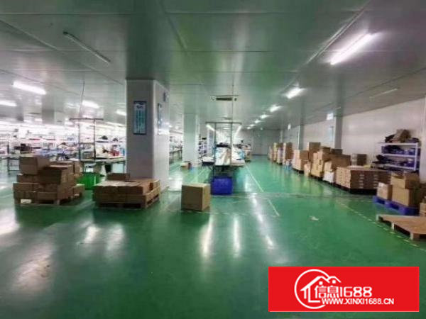 沙井沙一工业区豪华装修1400平米电子厂房出租