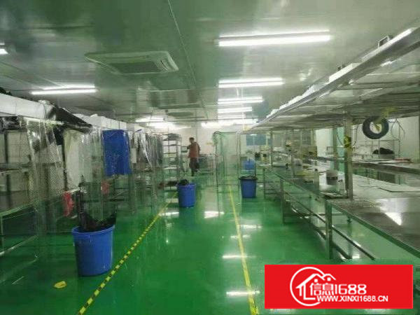 塘厦清湖头楼上300平方出租，可做电子，万级无尘车间