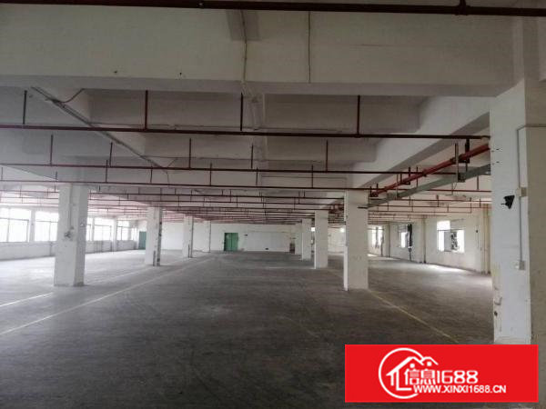 桥头镇石水口工业区内原房东标准厂房，可分租，工业用地可办环评