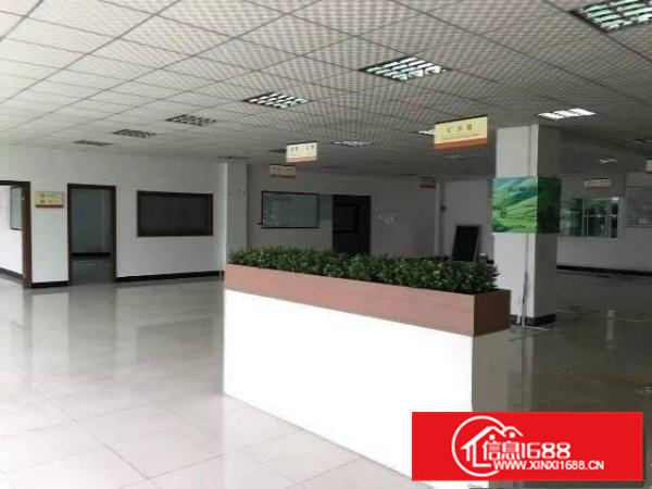 园洲独门独院花园式标准厂房出租6850带精装修可办环评