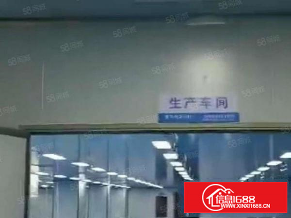 石排镇原房东九层新独院钢构6000平米