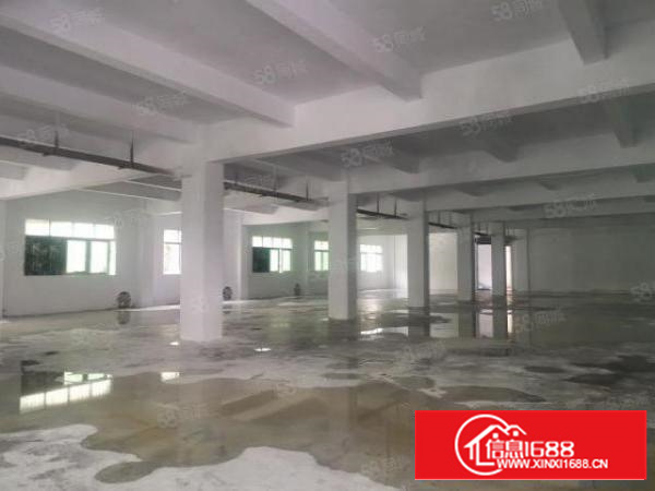 茶山新出独门独院厂房6000平靠大路边招工非常方便可分租