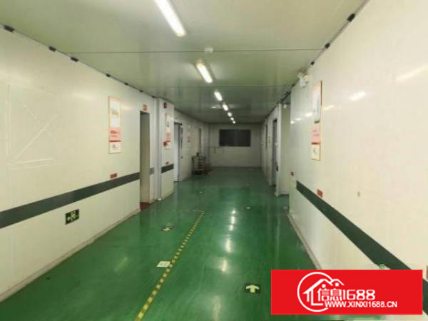 路旁新出原房东楼上整层1150平现成办公室