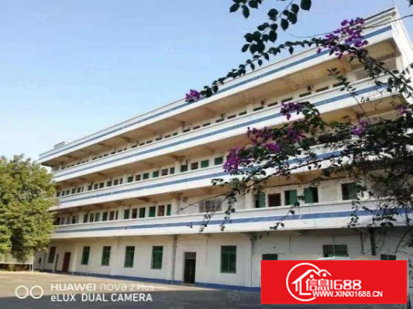 佛山三水西南云东海河口南江2000方独栋单一层厂房招租