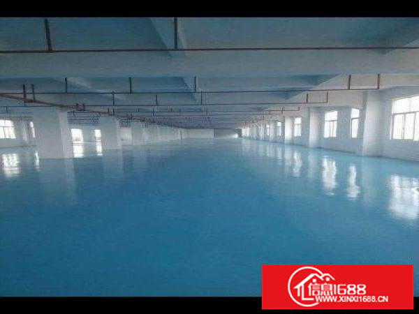 坪山新出1100平独院标准厂房带地坪漆急租