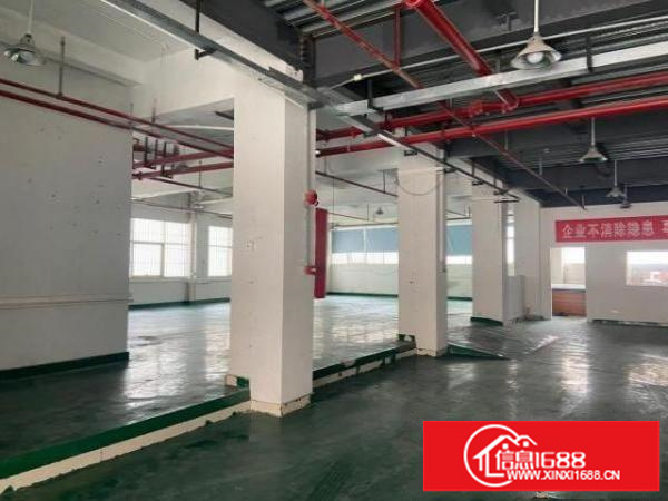 出租宝安石岩宏发大世界宝石南路计生中心旁