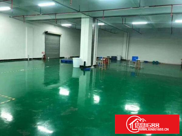 寮步百业城附近新出楼上1000平方，现成办公室，地坪漆