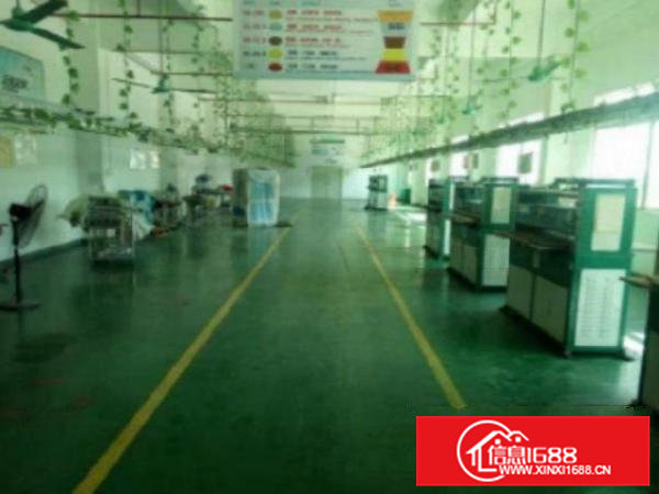 高埗独院标准厂房分租二楼2000平方带地坪漆