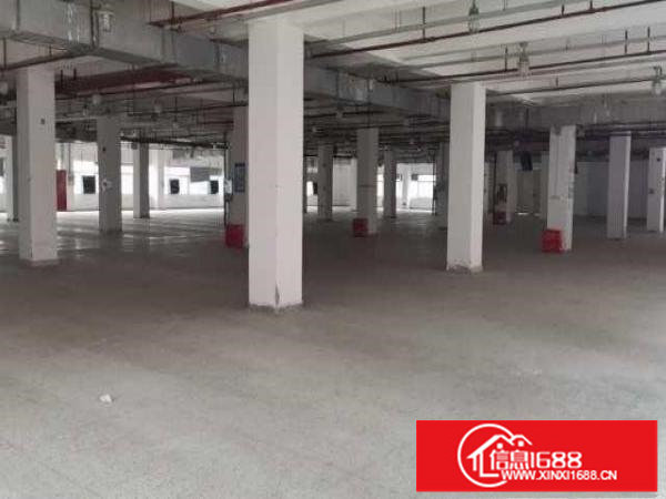 大浪百丽带精装修招租