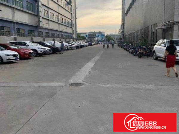 虎门树田新空楼上650平精装修厂房招租