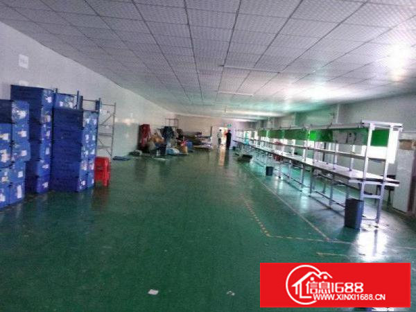 横岗大康横坪快线原房东精装修1400平楼上厂房