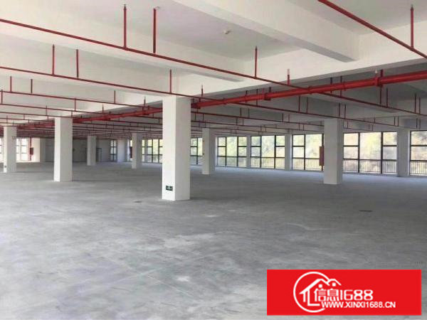 坑梓独院厂房4800平米出租