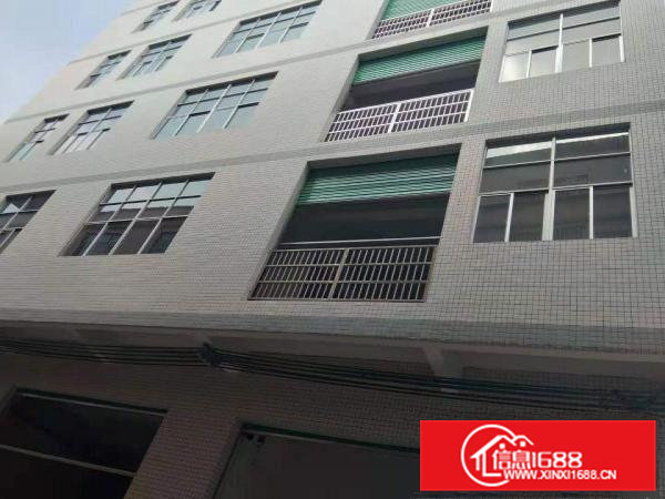 大岭山义乌商城新厂房768平