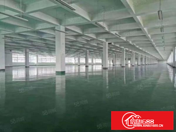 独门独院，乐从工业区17000方标准厂房带办公宿舍楼可办环评