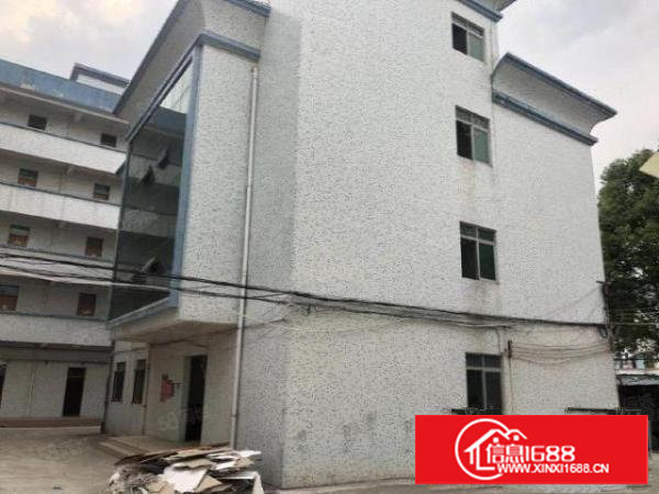 独院标准厂房5655平可整租可分租有电梯带地坪漆