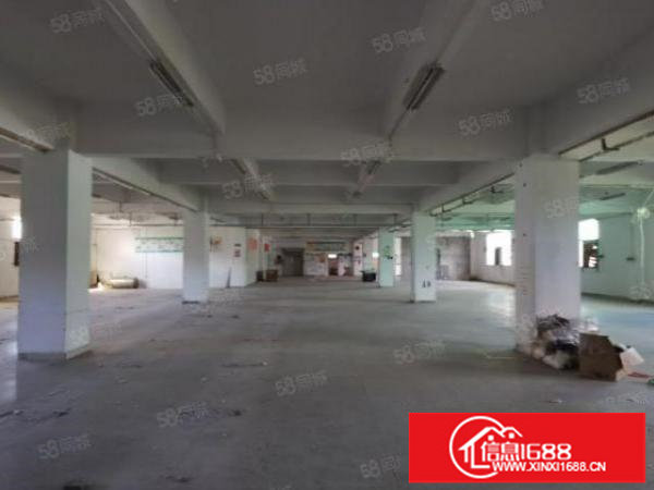 深圳市坪山区坑梓新出1100平米厂房出租带精装修办公室可分租