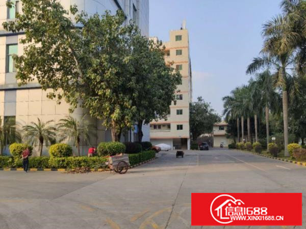 坂田楼上500平方厂房出租现成水电消防喷淋带装修