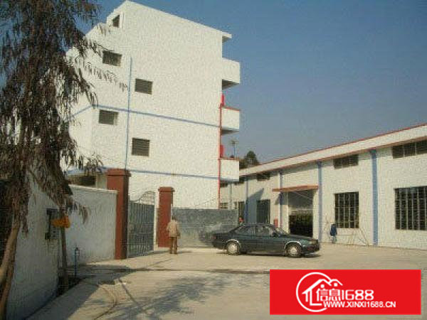 东坑厂房2600平米,独院厂房带装修招租