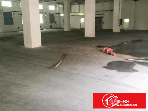 沙井新桥高速路口一楼1350平方实用面积厂房出租