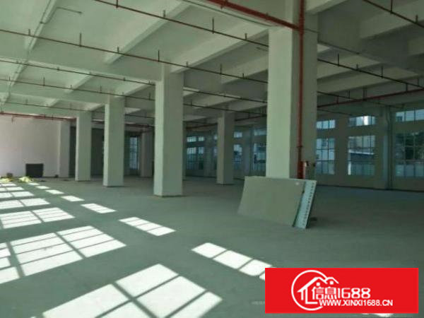 松岗楼岗社区一楼1500平原房东厂房500平分租