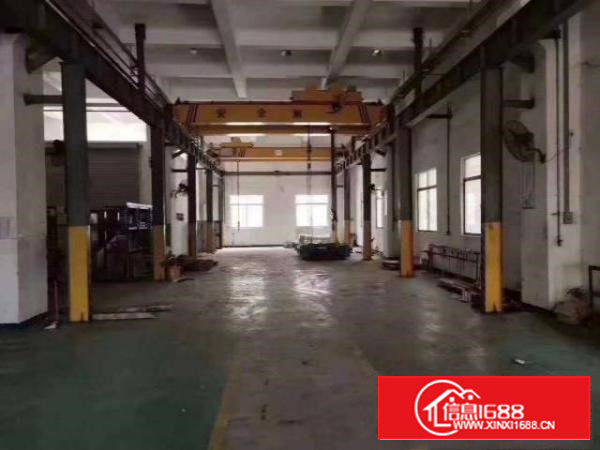 沙井大王山新出一楼2000平层高6米高带航车厂房免装修费