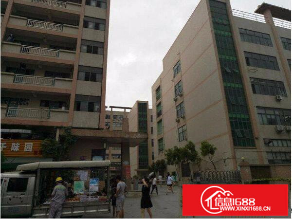 坂田天虹独门独院4800平厂房出租