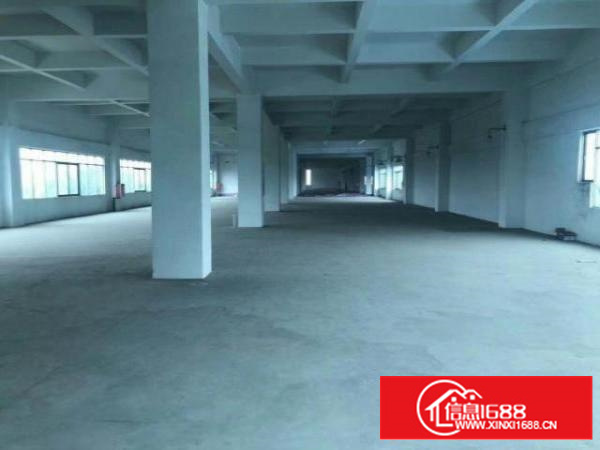 高埗独院标准厂房一楼1000平方出租适合五金、塑胶等行业