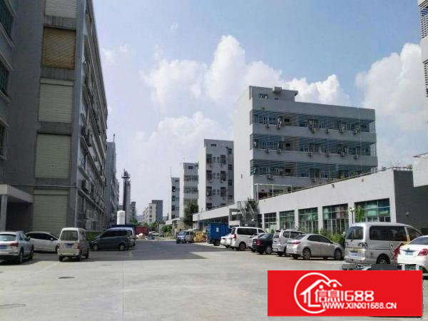 坪山大工业区一楼2300平米带红本6米高出租