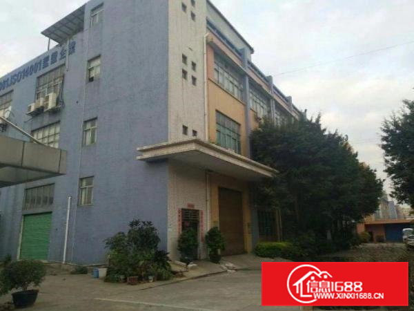 白沙新出一楼六米高带装修厂房1600平